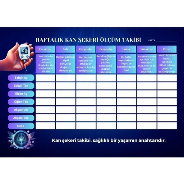 Diyabet Ölçüm Takip Çizelgesi Defteri A Kalite Özel Tasarım 6 Aylık A6 Boyut Yüksek Motiveli - Resim 2
