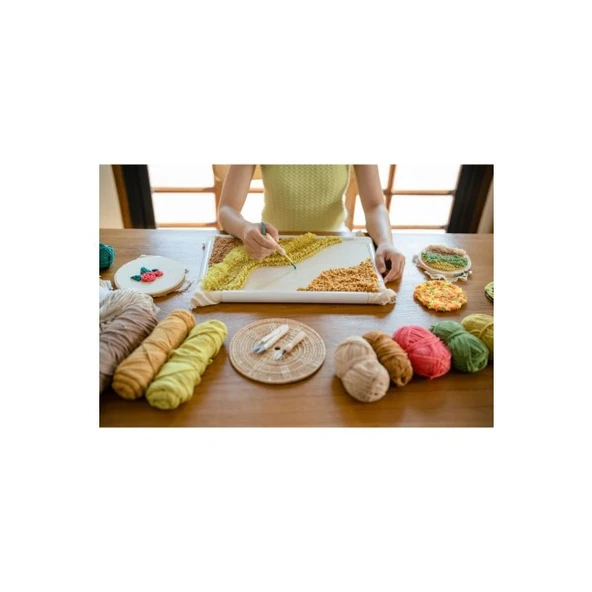 Punch Seti Nakış Seti Kasnaklı Kendin Yap Seti Seri 102 - Resim 2