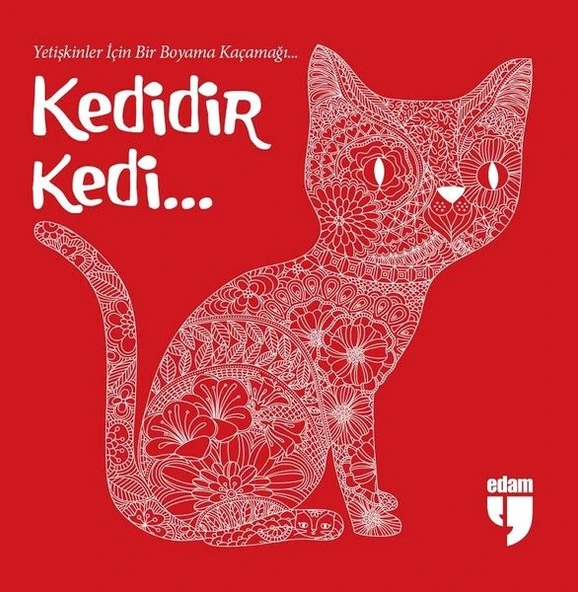 Kedidir Kedi... ürün görseli