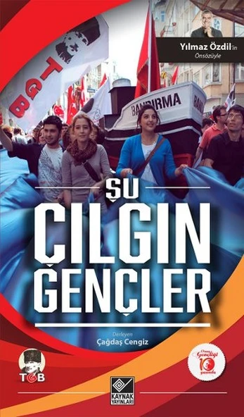 Şu Çılgın Gençler ürün görseli