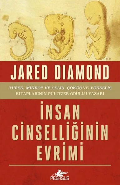 İnsan Cinselliğinin Evrimi - Ciltsiz ürün görseli