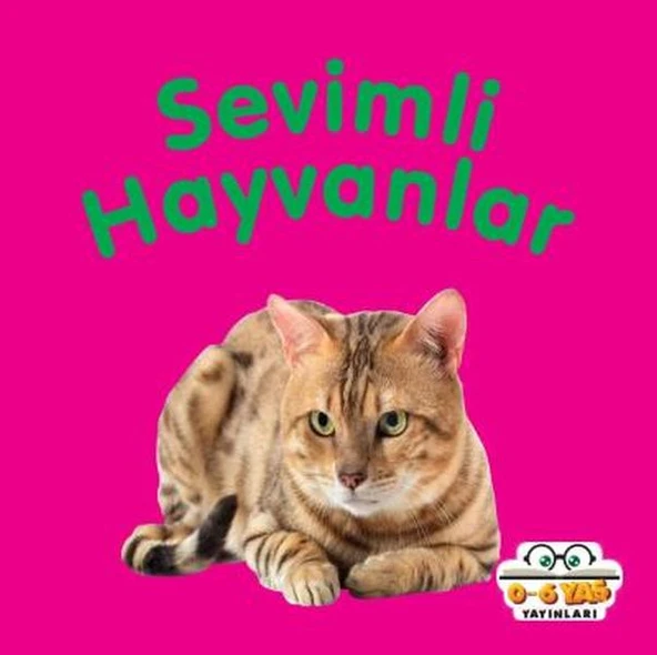 Sevimli Hayvanlar - Mini Karton Kitaplar ürün görseli