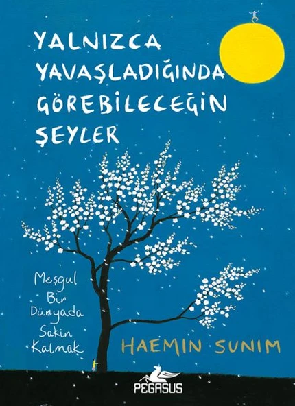 Yalnızca Yavaşladığında Görebileceğin Şeyler (Ciltli) ürün görseli 1