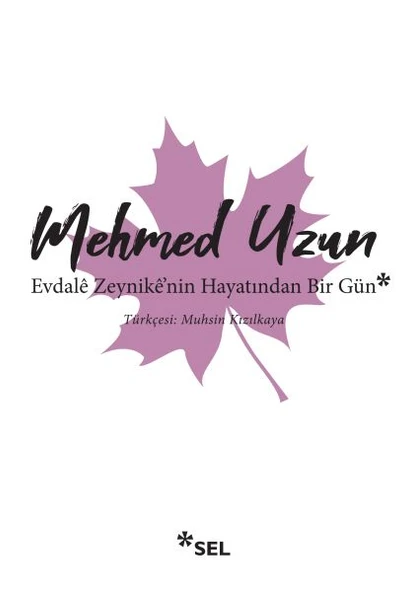 Evdale Zeynike'nin Hayatından Bir Gün ürün görseli