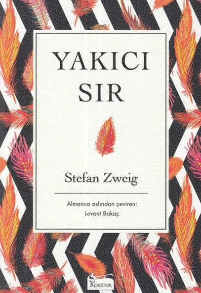 Yakıcı Sır - Ciltsiz ürün görseli