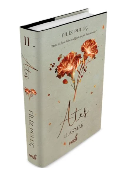 Ateş - Ulaş'mak (Ciltli) ürün görseli