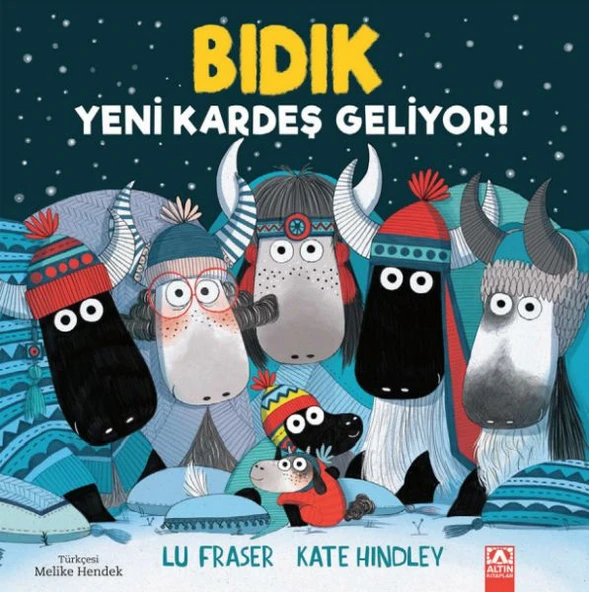 Bıdık - Yeni Kardeş Geliyor ürün görseli
