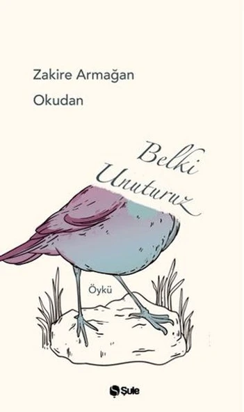 Belki Unuturuz ürün görseli