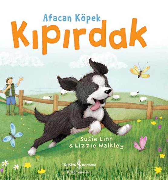 Afacan Köpek Kıpırdak ürün görseli