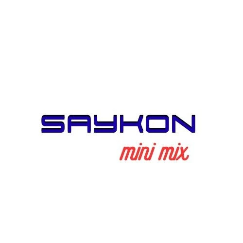 SAYKON mini mix Karışık Sayan Para Sayma Makinesi - Resim 4