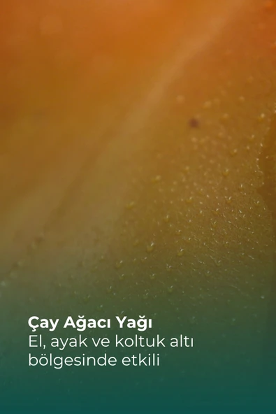Tto Trx El,ayak, Koltuk Altı Terleme Önleyici Sprey 50 ml (çay Ağacı Yağı / Tea Tree Oil ) - 2