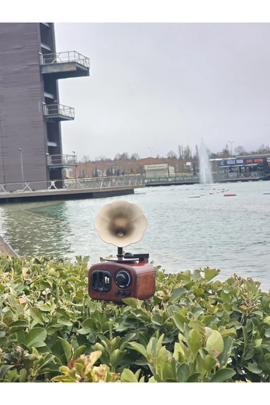 İB GLOBAL Gramafon Müzik Kutusu - Anneler Günü Hediyesi -Sevgililer Günü Hediyesi - 1