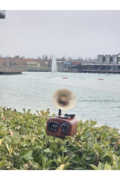İB GLOBAL Gramafon Müzik Kutusu - Anneler Günü Hediyesi -Sevgililer Günü Hediyesi - 4
