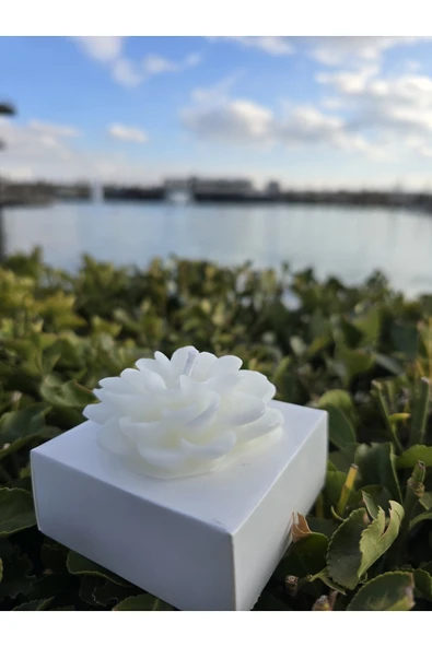 İB GLOBAL Dekoratif Hediyelik Gül Mum - Düğün - Nikah Şekeri - Doğum - Sünnet - Nişan Söz - Kına - Doğum Günü - 4