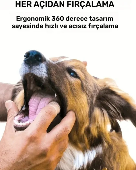 1 Adet - Süper Yumuşak Köpek ve Kedi Parmak Diş Fırçası | Yavru Köpekler ve Küçük Evcil Hayvanlar İçin Nazik Diş Temizleme Aracı | Stoktaki Uygun Renge Göre Gönderilecektir - 2