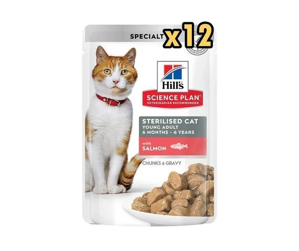 Hills Gravy Somonlu Kısırlaştırılmış Kedi Konservesi 85 Gr X 12 Adet ürün görseli 1