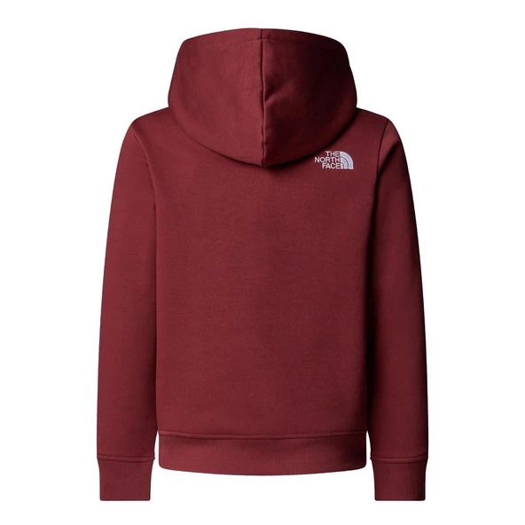 The North Face TEEN DREW PEAK PULLOVER HOODIE Genç Çocuk Sweatshirt NF0A8EHH0VO1 - Resim 2
