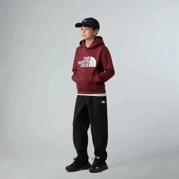 The North Face TEEN DREW PEAK PULLOVER HOODIE Genç Çocuk Sweatshirt NF0A8EHH0VO1 - Resim 3