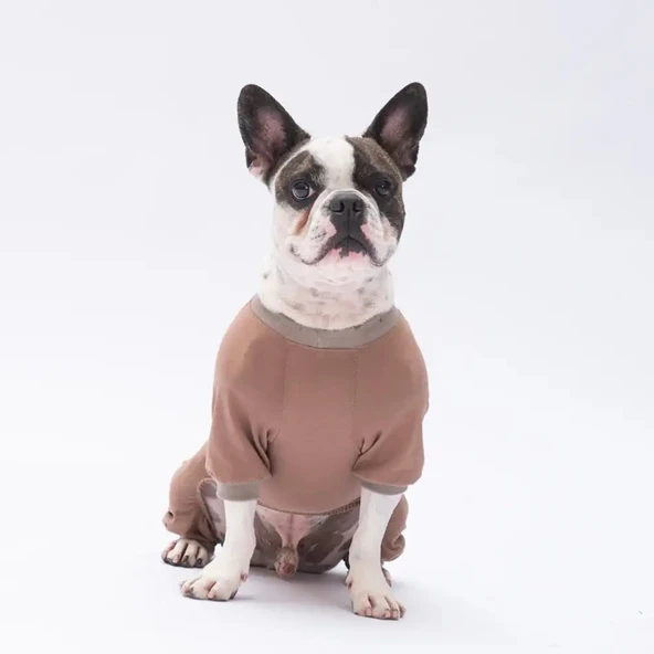 Pawstar Happy Teddy Küçük Irk Köpek Penye Tulum Pijama - 2