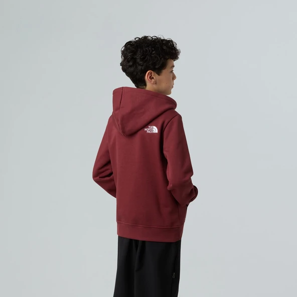The North Face TEEN DREW PEAK PULLOVER HOODIE Genç Çocuk Sweatshirt NF0A8EHH0VO1 - Resim 4