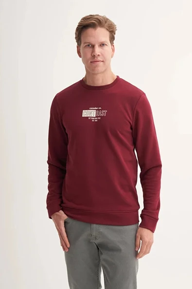 Cazador Slim Fit Mevsimlik 3 İplik Pamuk Karışımlı Sweatshirt-54160 - Resim 2