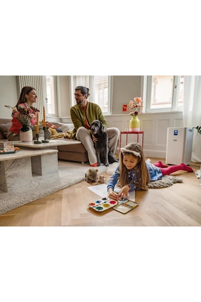 Karcher AF 50 Hava Temizleyici Outlet - 4