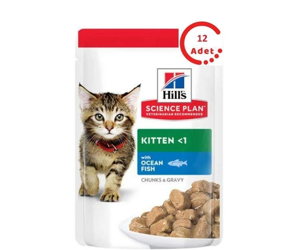 Hills Gravy Balıklı Yavru Kedi Konservesi 85 gr x 12 Adet ürün görseli