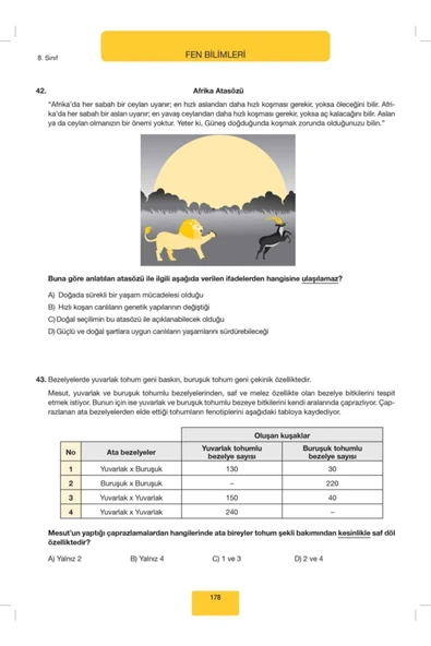 Hız Yayınları Hız Yayınlar Lgs 8.sınıf 600 Soruda Ilk Dönem Genel Tekrar Kamp Kitabı - Resim 3