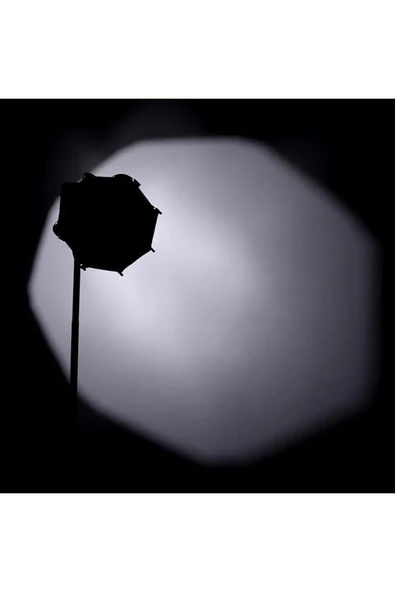 ulanzi AS-D30 30cm Mini Bowens Montajlı ve Izgaralı Sekizgen Softbox - Resim 5