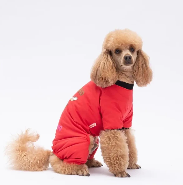 Pawstar Depresso Küçük Irk Köpek Penye Tulum Pijama - 2