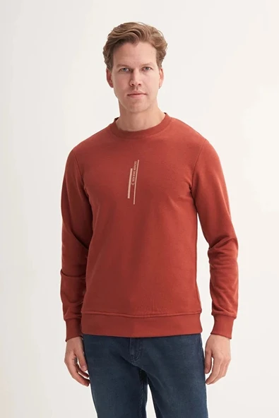 Cazador Slim Fit Mevsimlik 3 İplik Pamuk Karışımlı Sweatshirt-54185 - Resim 2