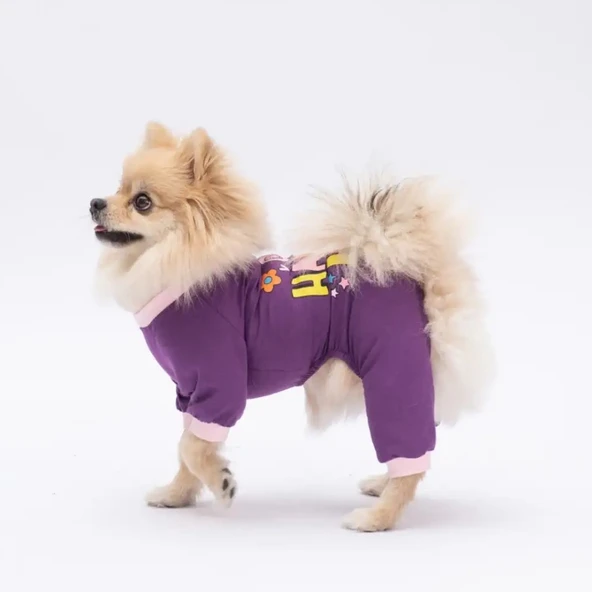 Pawstar Happy Küçük Irk Köpek Penye Tulum Pijama - 2