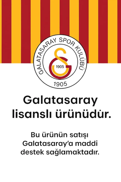 Orijinal Lisanslı 24-25 Beyaz 5 Yıldızlı Lazer Aslan Baskılı Çocuk Forma Set Hediyelik Ahşap Kutu - 6