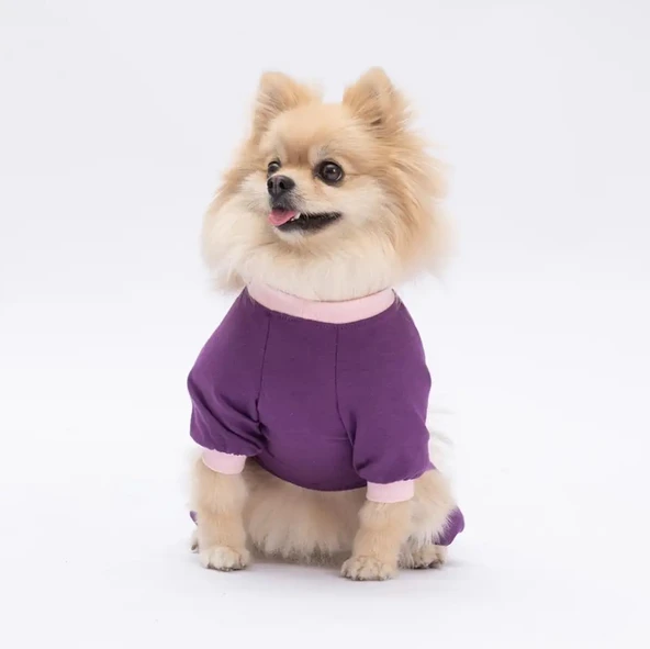 Pawstar Happy Küçük Irk Köpek Penye Tulum Pijama - 3