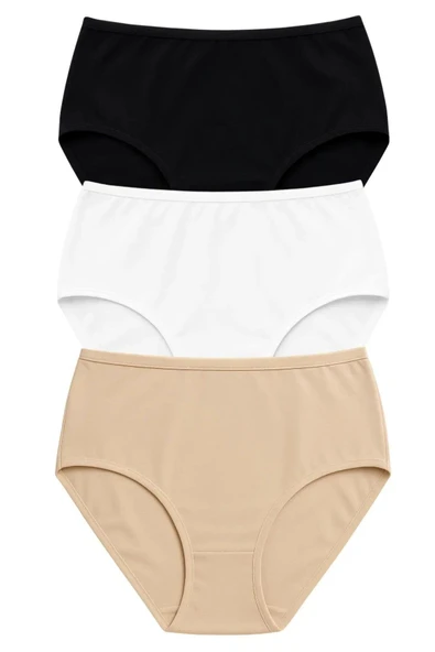 PK40001 PREMİUM BÜYÜK BEDEN KADIN PAMUKLU YÜKSEK BEL KÜLOT 3 LÜ PAKET - Resim 9