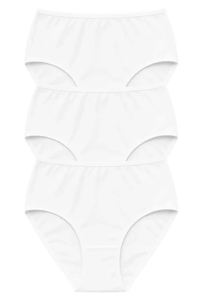 PK40001 PREMİUM BÜYÜK BEDEN KADIN PAMUKLU YÜKSEK BEL KÜLOT 3 LÜ PAKET - Resim 11