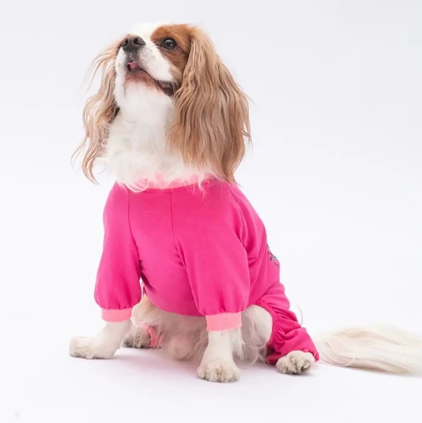 Pawstar Donut Worry Küçük Irk Köpek Penye Tulum Pijama - 3