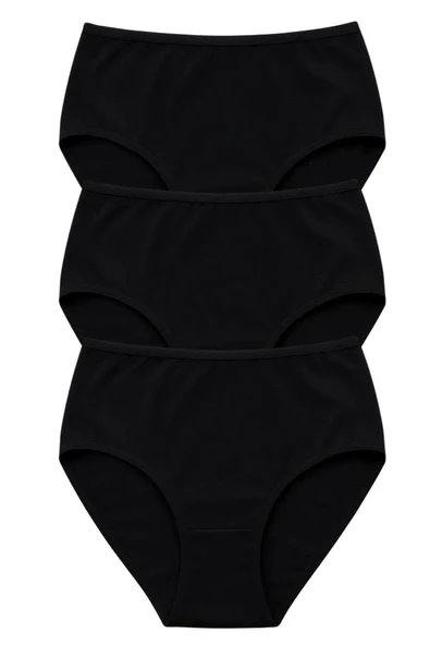 PK40001 PREMİUM BÜYÜK BEDEN KADIN PAMUKLU YÜKSEK BEL KÜLOT 3 LÜ PAKET - Resim 2