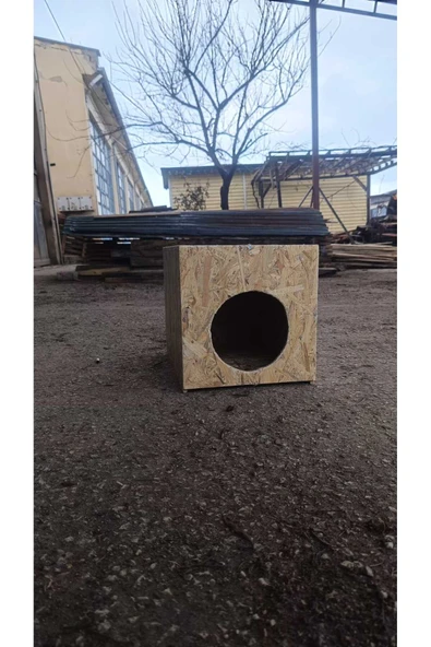Renkli Home Yağmura Ve Soğuğa Dayanıklı Osb Kedi Evi Su Geçirmez - Resim 3