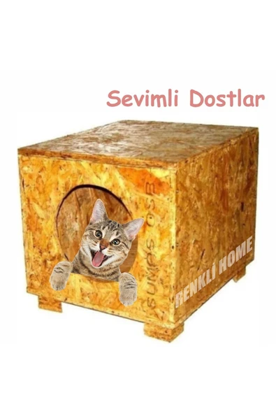 Renkli Home Yağmura Ve Soğuğa Dayanıklı Osb Kedi Evi Su Geçirmez - Resim 4