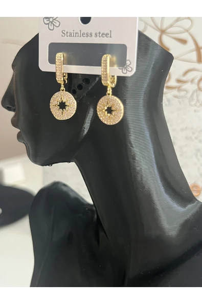 bettin tasarım Çelik Paslanmaz Özel Model Zirkon Taşlı Sarı Kadın Küpe - Resim 6