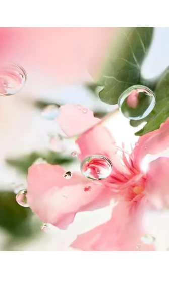 Lancome Ô Over The Top Edt 100 Ml Kadın Parfüm - 2