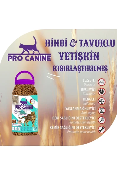 Professıonal Hindi Etli -tavuklu Kısır & Obez Sterılısed Yetişkin Kedi Maması 5 Lt - 2