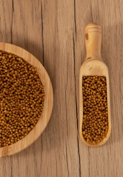 PSİTTACUS MINOR 3kg - 3