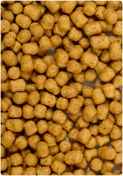 PİSTTACUS PARROT MAINTENANCE 3kg - 3