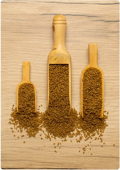 PSİTTACUS ISLAK & KURU MİKROSFERLER 25/18 - 3