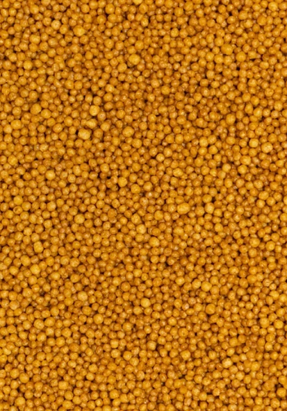 PSİTTACUS MINOR 3kg - 2