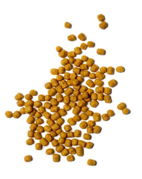 PİSTTACUS PARROT MAINTENANCE 3kg - 4