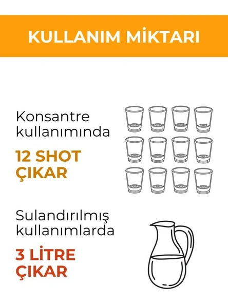 Otsa Konsantre Zencefil Shot 350 g | Bal Zerdeçal - Resim 2
