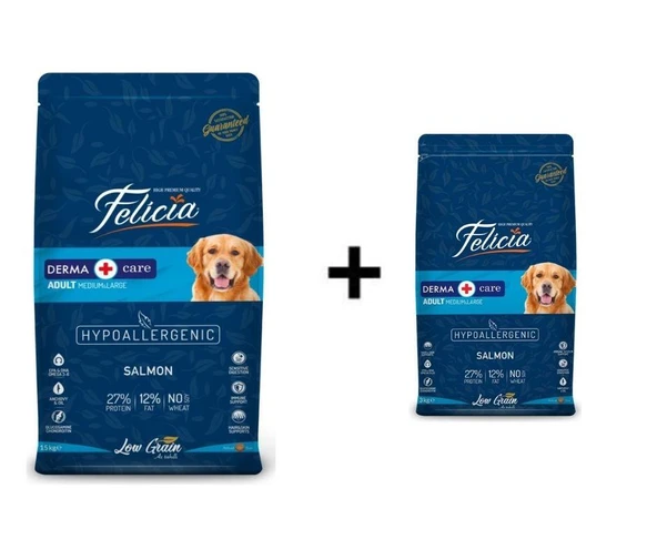 Felicia Somonlu Yetişkin Köpek Maması 15 kg + 1 Adet Felicia Somonlu Yetişkin Köpek Maması 3 kg ürün görseli 1